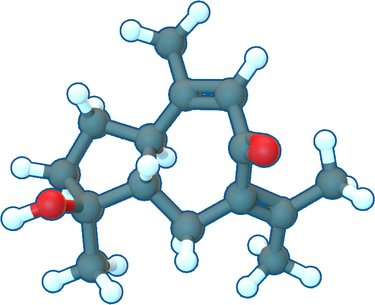 Image of Epiprocurcumenol | C15H22O2 | Supreme Pharmatech